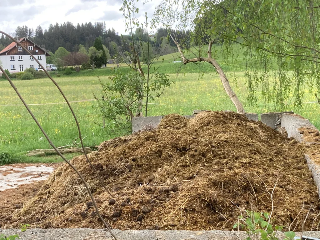 The Art of Drawing Readers In: Your attractive post title goes here